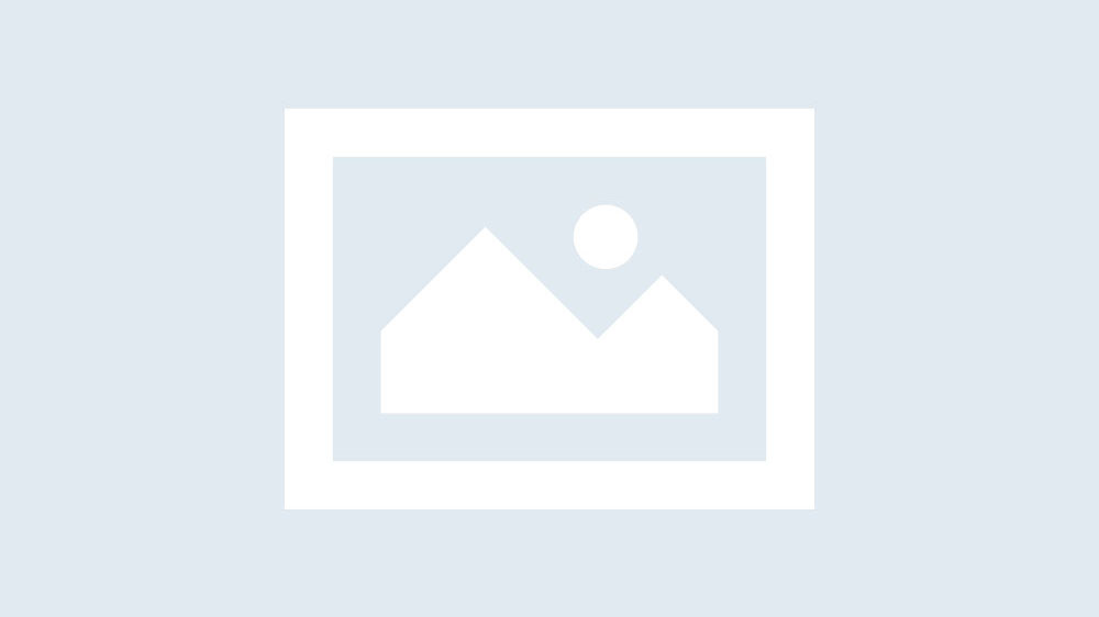 Advertising and Marketing