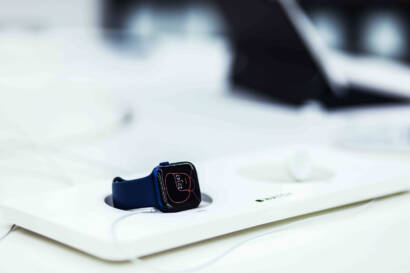 Gallery item